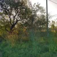 Vendo Terreno en Metileo