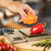 Diet meals delivery singapore 