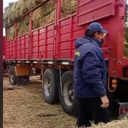 VENDO FARDOS DE ALFALFA...