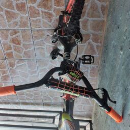 Bicicletas 