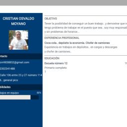 Busco trabajo en el campo o en albañilería.. responsable 