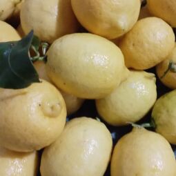 Limones 