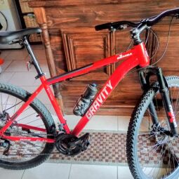 Vendo rod 29