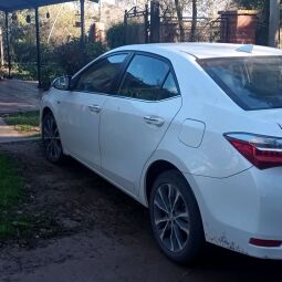 Corolla 2019