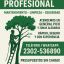 Servicio de jardinería en general