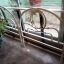 VENDO 2 CAMITAS Y 2 COLCHONES DE 1  1/2 PLAZA